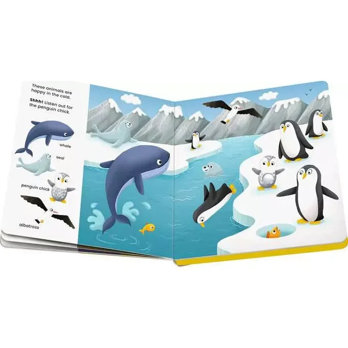 Shh Who's There? Baby Animals Sound Board Book 12m+ - 10