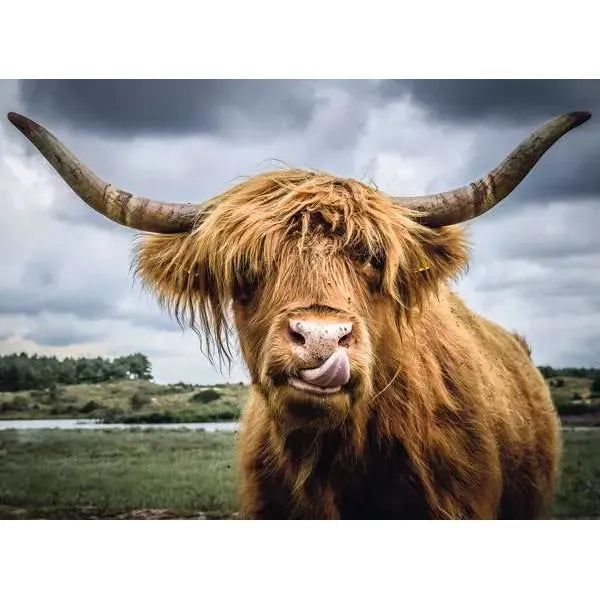 Puzzle | Mom Highland Cattle | 300 pc Puzzle - 2
