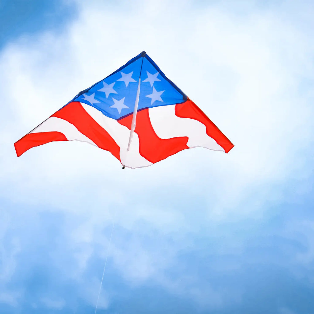 Kite | Patriotic Delta Kite 57" - 3