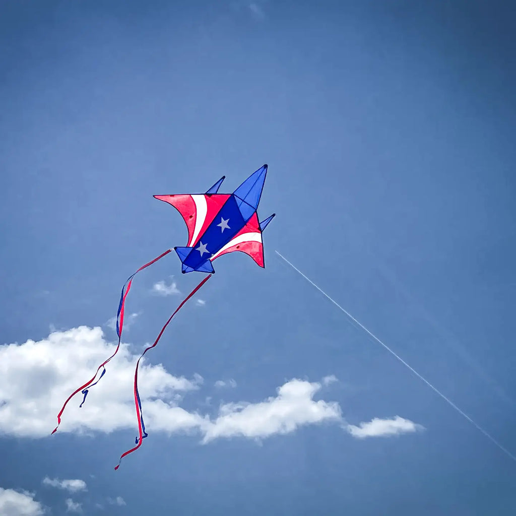 Kite | Patriot Jet Kite - 4