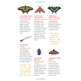 Fluttery, Friendly Tattoo Butterflies and Other Insects Activity Book