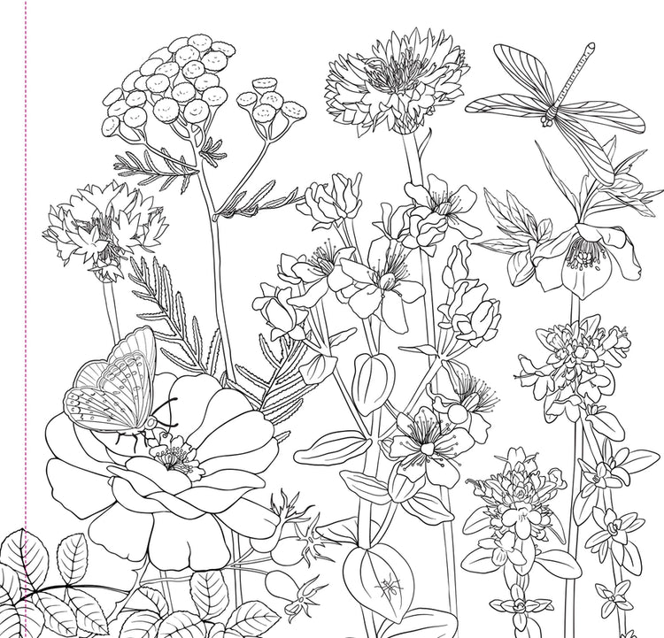 Coloring Book Adult | Wildflowers 8+ - 2