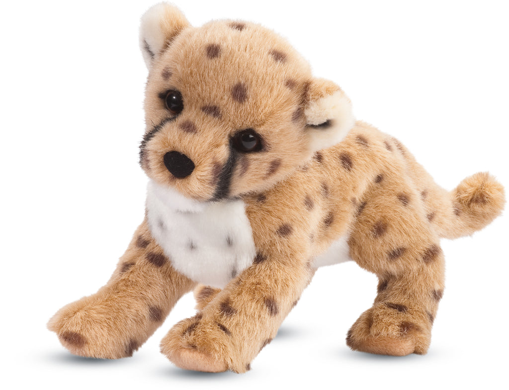 Chillin' Cheetah Cub