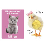 Adorable Animals