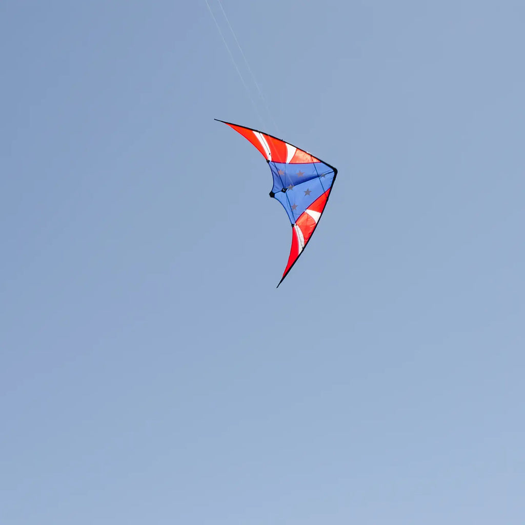 Kite | Stars & Stripes 48" Sport Kite 8+ - 2
