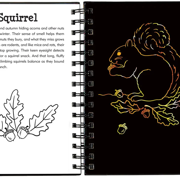 Scratch & Sketch - Forest Friends Book