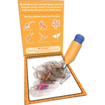 Water Reveal | Dinosaurs 3+