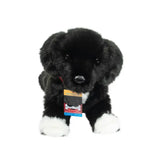 Olive Blk Lab/Pit Mix 2424