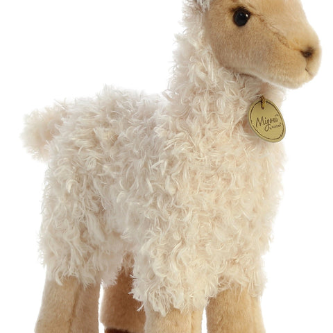 LLama | Two Toned - 1