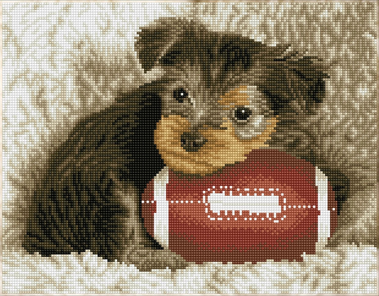 Diamond Dotz Footy Pup With Football Craft For Ages 8+