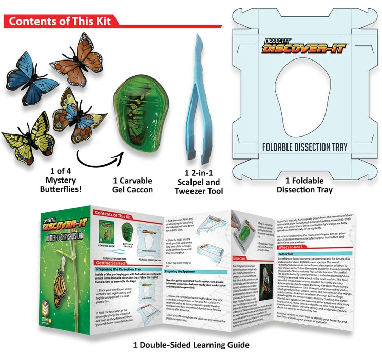 Discover-It Butterfly Metamorphosis Lab For Ages 5+