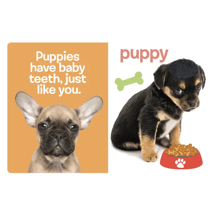 Baby Animals - Touch And Feel Sensory Board Book