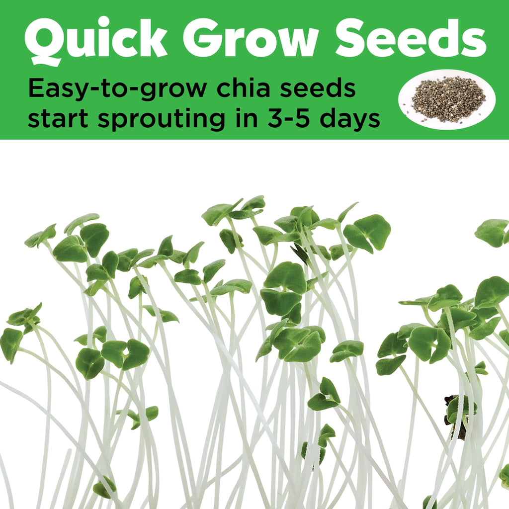 Grow Mini Garden | Princess 6442006