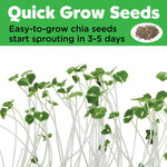 Grow Mini Garden | Princess 6442006