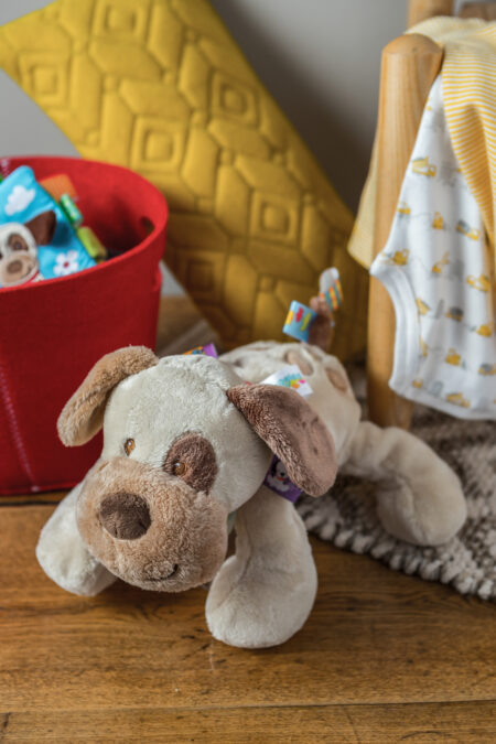Taggies Soft Toy | Buddy Dog 0+ - 4