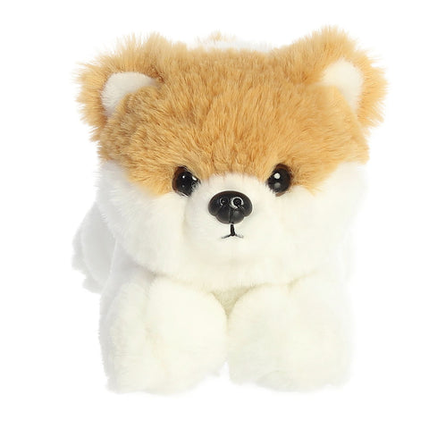 Pom The Pup 8