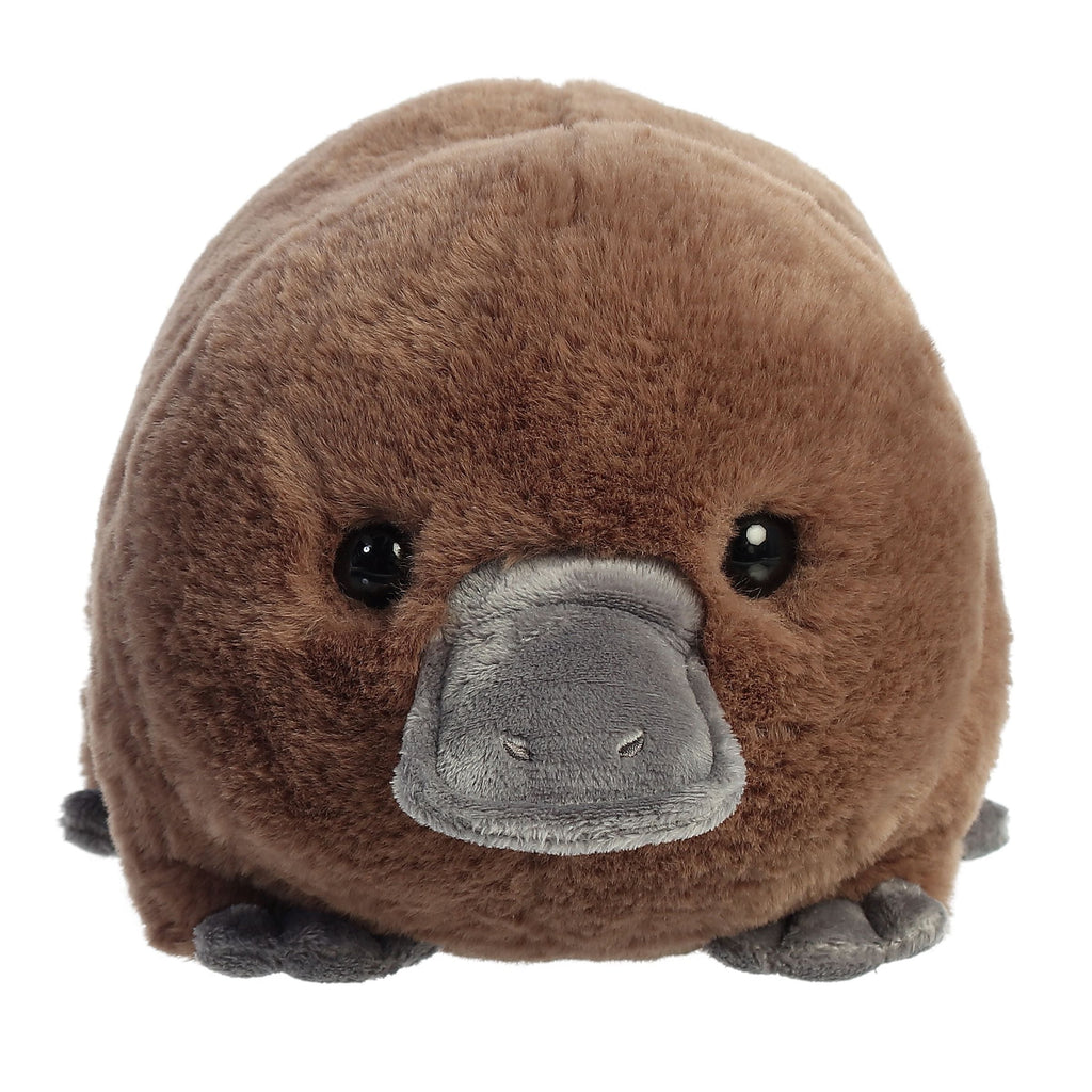 Spudster | Pongo Platypus 10" Plush - CR Toys