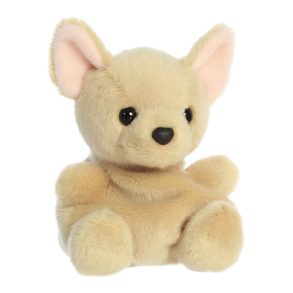 Palm Pals | Cookie Chihuahua 33947