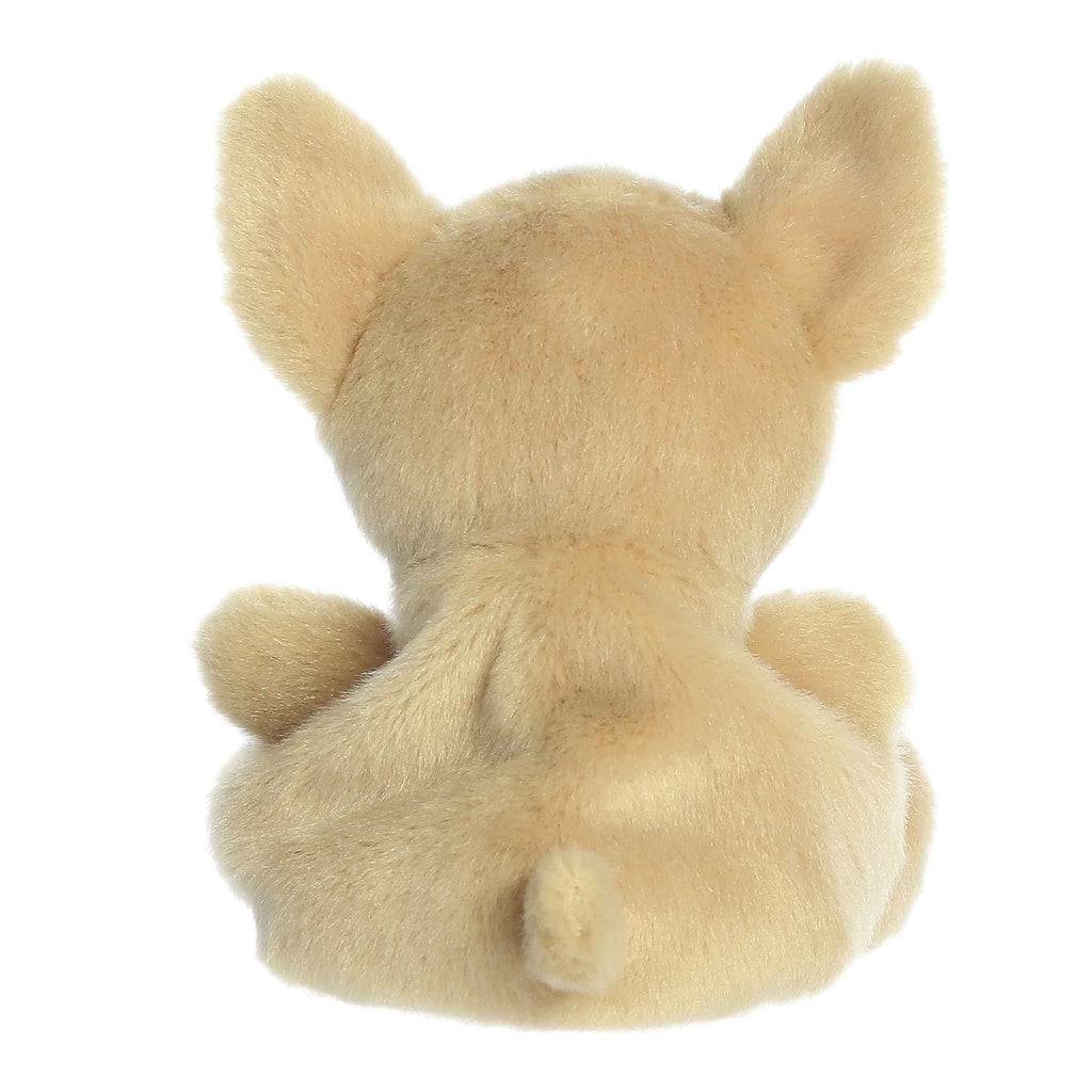 Palm Pals | Cookie Chihuahua 33947