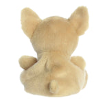 Palm Pals | Cookie Chihuahua 33947