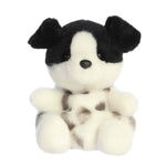 Palm Pals | Snorkels Black & White Dog 5" Plush - 2