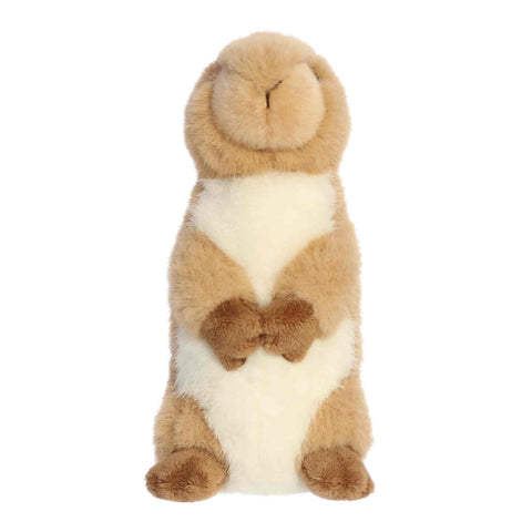 MF | Clover Prairie Dog 8