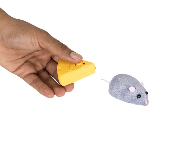 RC Meddling Mouse 8+ - 5