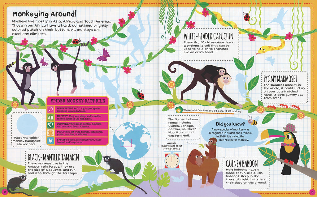 Sticker Facts: Jungle by Lisa Regan 4+ - 2