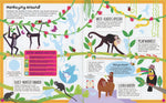 Sticker Facts: Jungle by Lisa Regan 4+ - 2