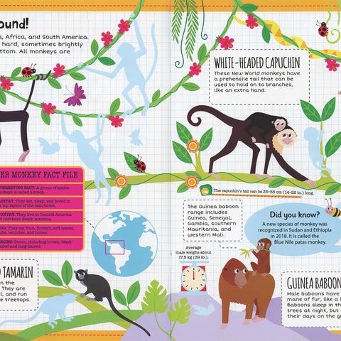 Jungle Sticker Facts book cover featuring colorful illustrated jungle animals and over 100 stickers