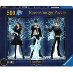 Puzzle | Glow in the Dark Harry Potter | 500 Pc - CR Toys