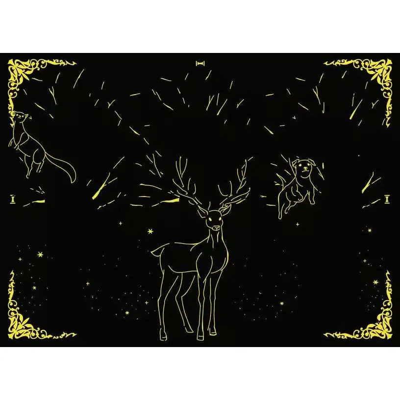 Puzzle | Glow in the Dark Harry Potter | 500 Pc - CR Toys