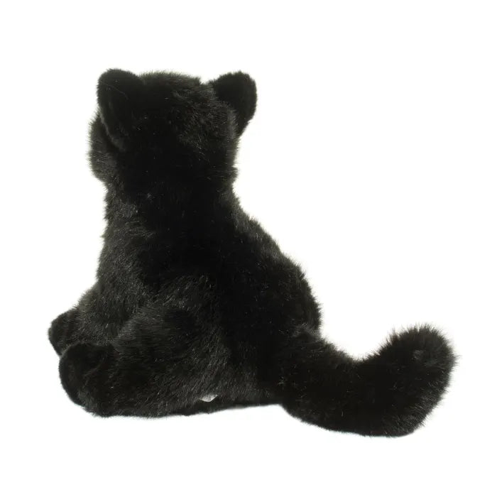 Salem Floppy Black Cat 4394 - CR Toys