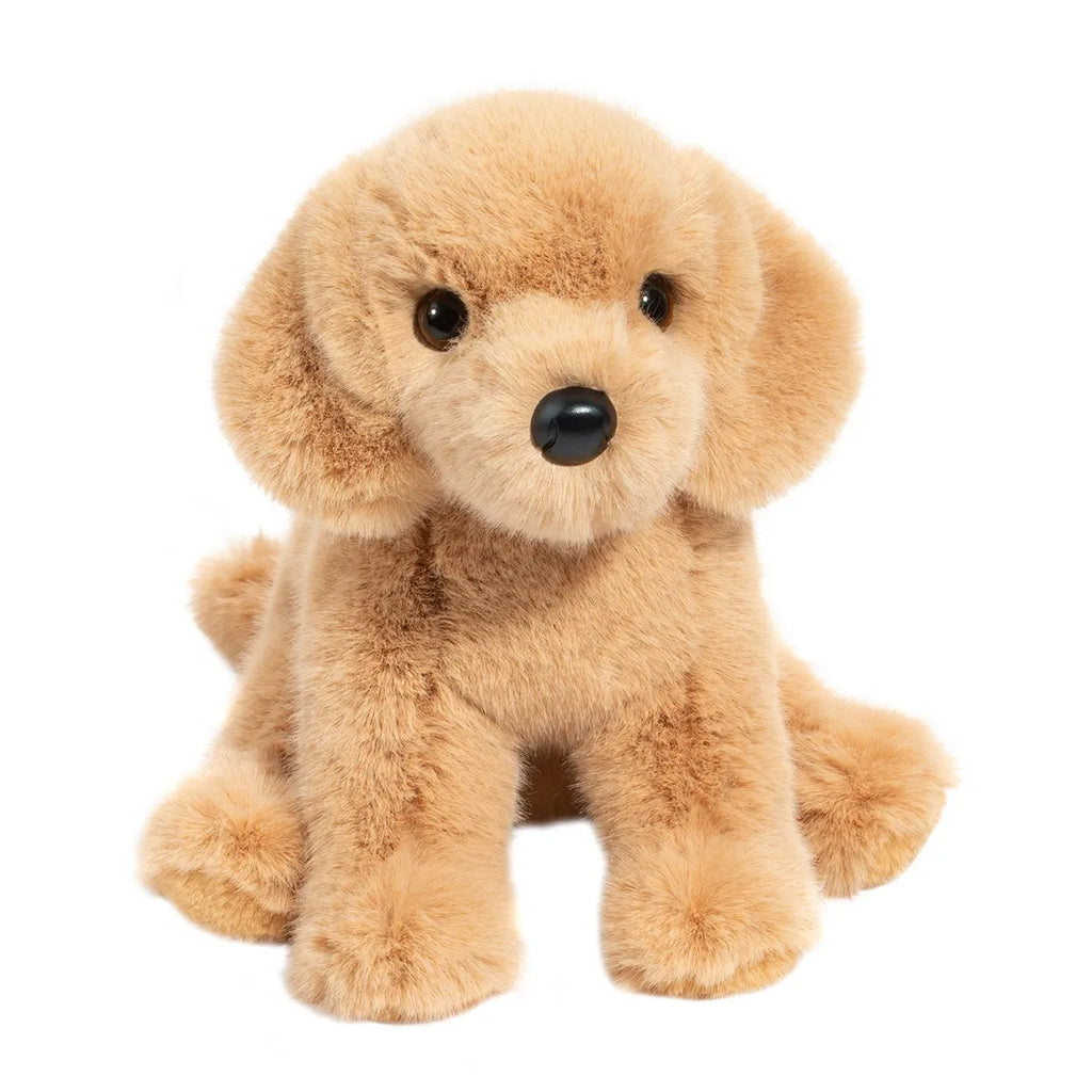Golden retriever with stuffed animal online