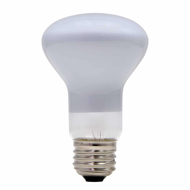 100 watt R20 incandescent replacement bulb with frosted dome and standard E26 medium base