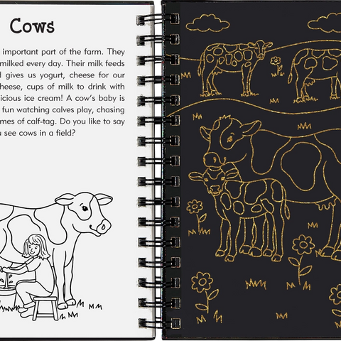 SCRATCH AND SKETCH ON THE FARM M34525 - CR Toys