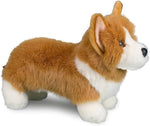 Corgi Lil; Pup Plush