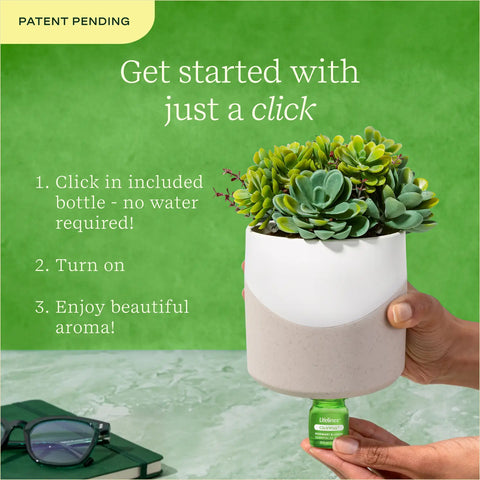 Lifelines Plant Diffuser | Succulent Two Toned - CR Toys