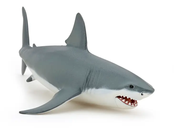 White Shark Figurine 56002 - CR Toys