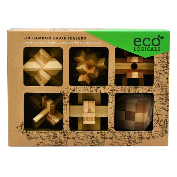 Ecologicals 6 Puzzles Individual Mind Games - CR Toys