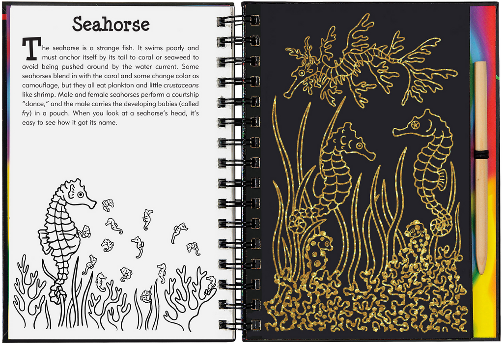 Open Coral Reefs Scratch and Sketch book showing seahorse coloring page and golden scratch art