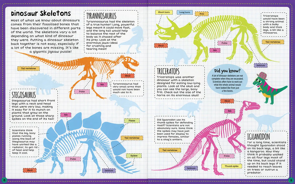 Interior spread of Sticker Facts Dinosaurs book showing labeled skeleton diagrams of Stegosaurus, Tyrannosaurus, Tricerato...