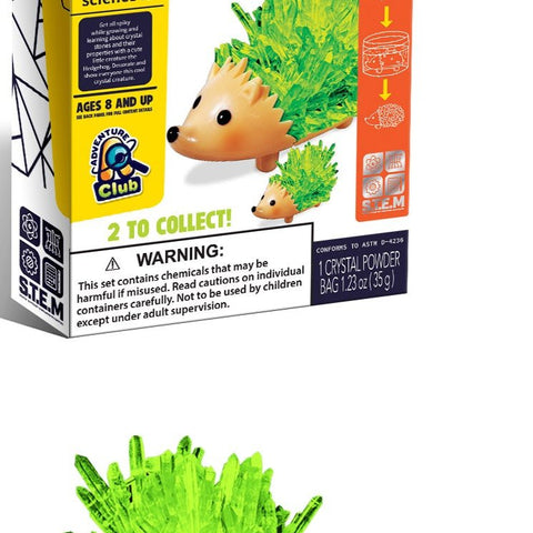 Grow Your Own Hedgehog For Ages 8+