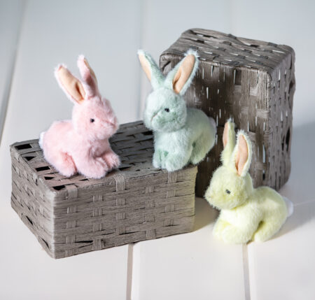 Neat Petites Bunny Plush 0+ - 4