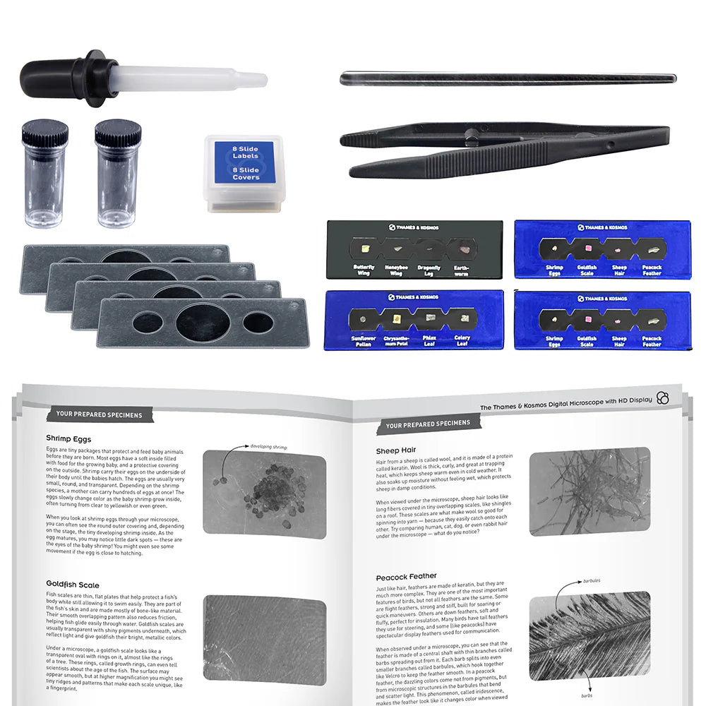 Microscope | Digital w/ HD Imaging & LCD Display 8+ - 5