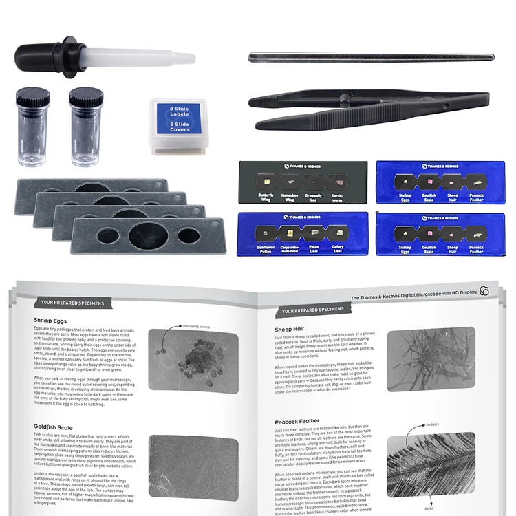 Microscope | Digital w/ HD Imaging & LCD Display 8+ - 5