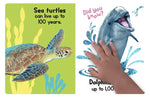 Ocean Friends Touchy-Feely Board Book
