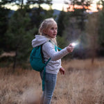 Wildlight | Dolphin - 3