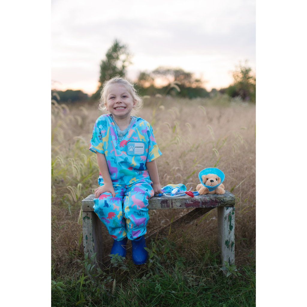 Veterinarian Set Size 5-6