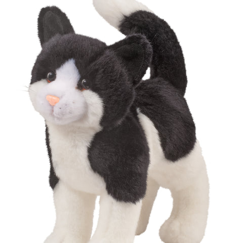 Scooter Black & White Cat 1868